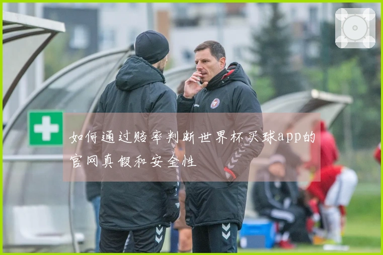 如何通过赔率判断世界杯买球app的官网真假和安全性