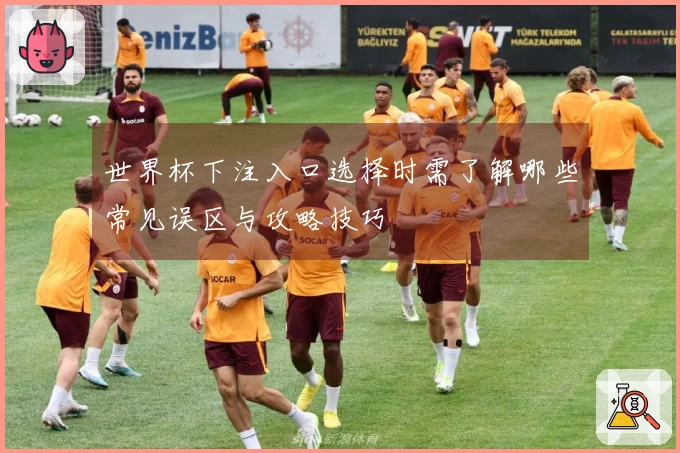 世界杯下注入口选择时需了解哪些常见误区与攻略技巧