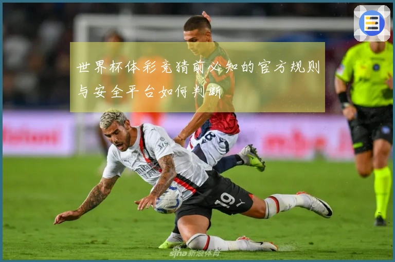 世界杯体彩竞猜前必知的官方规则与安全平台如何判断
