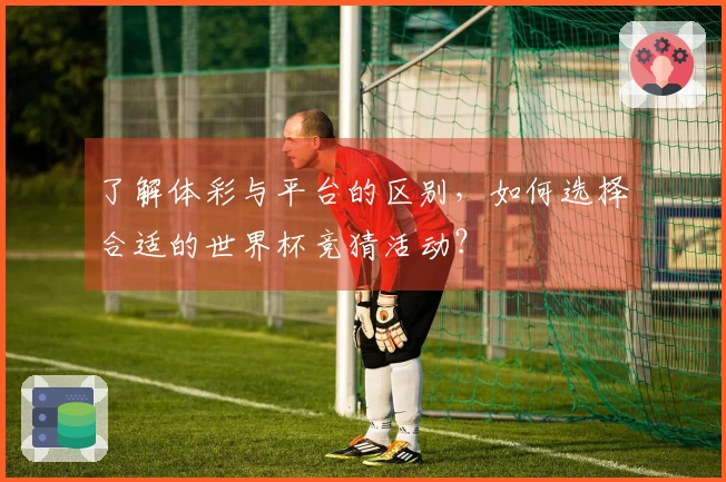 了解体彩与平台的区别，如何选择合适的世界杯竞猜活动？