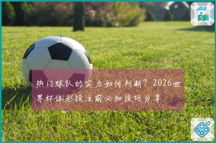 热门球队的实力如何判断？2026世界杯体彩投注前必知技巧分享