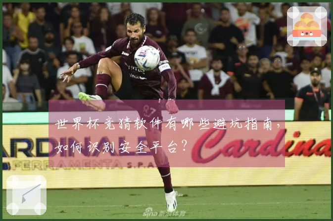 世界杯竞猜软件有哪些避坑指南，如何识别安全平台？
