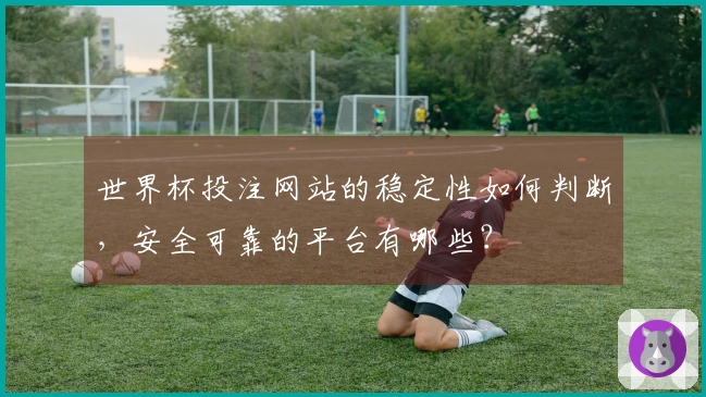 世界杯投注网站的稳定性如何判断，安全可靠的平台有哪些？