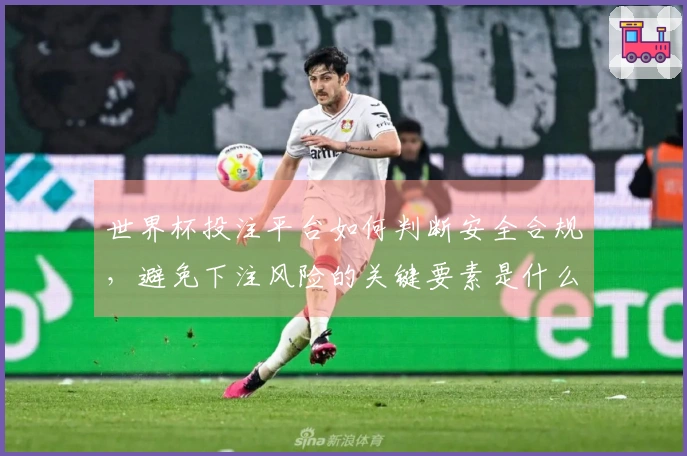 世界杯投注平台如何判断安全合规，避免下注风险的关键要素是什么