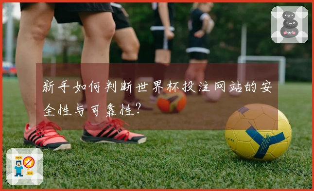 新手如何判断世界杯投注网站的安全性与可靠性？