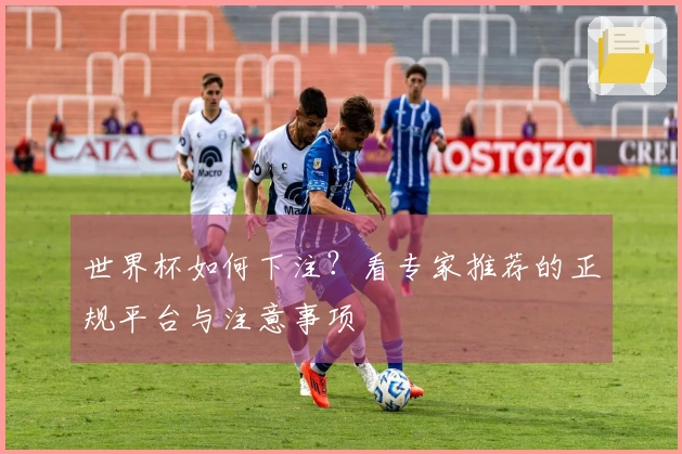 世界杯如何下注？看专家推荐的正规平台与注意事项