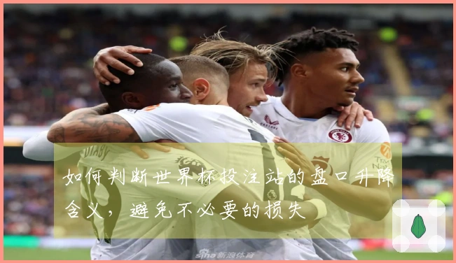 如何判断世界杯投注站的盘口升降含义，避免不必要的损失