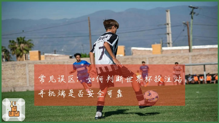 常见误区：如何判断世界杯投注站手机端是否安全可靠