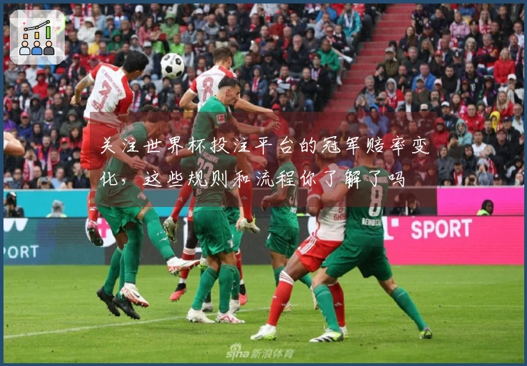 关注世界杯投注平台的冠军赔率变化,这些规则和流程你了解了吗