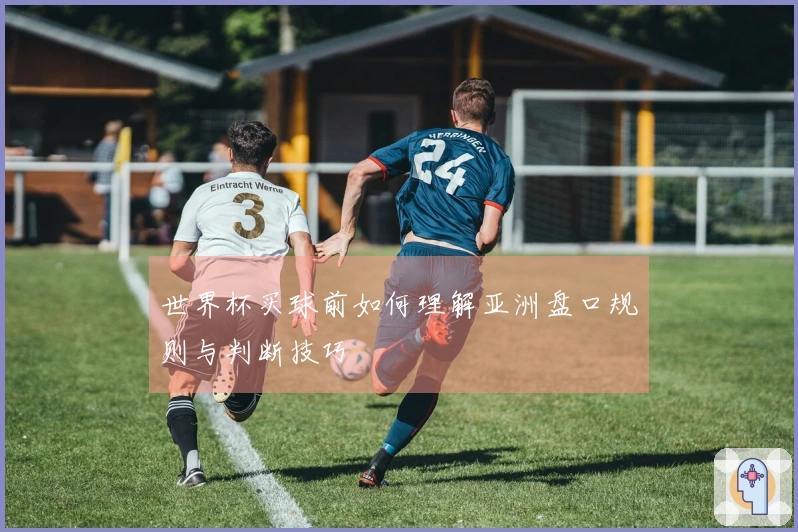 世界杯买球前如何理解亚洲盘口规则与判断技巧