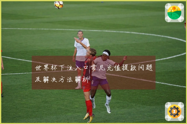 世界杯下注入口常见充值提款问题及解决方法解析