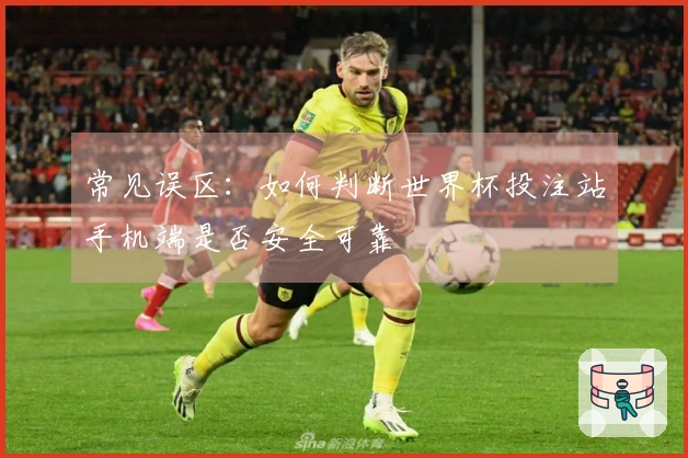 常见误区：如何判断世界杯投注站手机端是否安全可靠