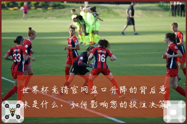 世界杯竞猜官网盘口升降的背后意味是什么，如何影响您的投注决策