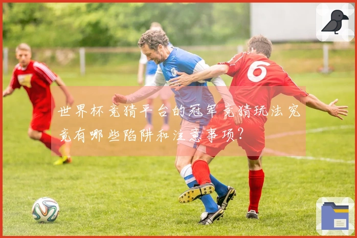 世界杯竞猜平台的冠军竞猜玩法究竟有哪些陷阱和注意事项？