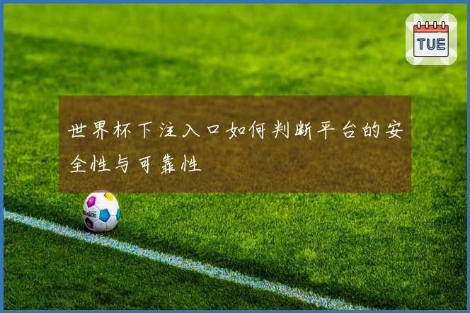 世界杯下注入口如何判断平台的安全性与可靠性
