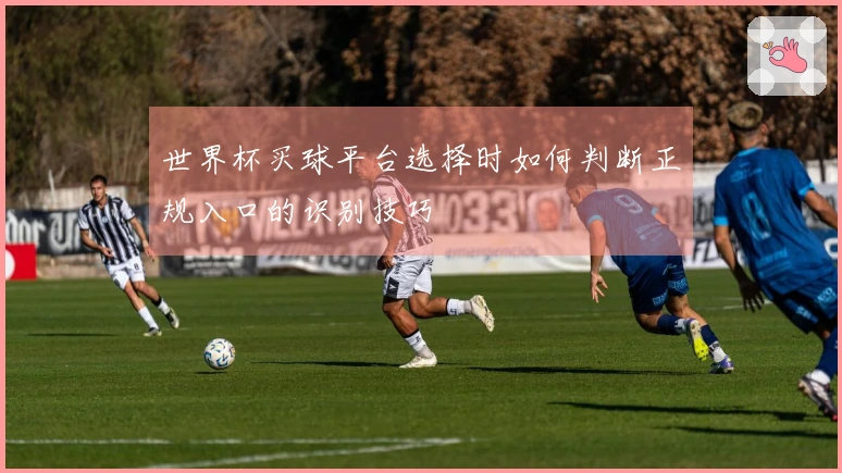世界杯买球平台选择时如何判断正规入口的识别技巧