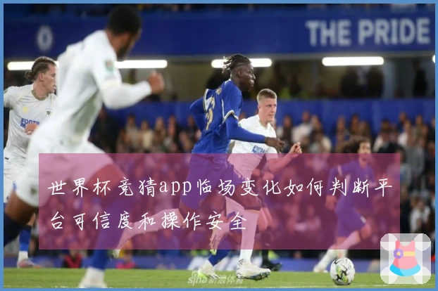 世界杯竞猜app临场变化如何判断平台可信度和操作安全